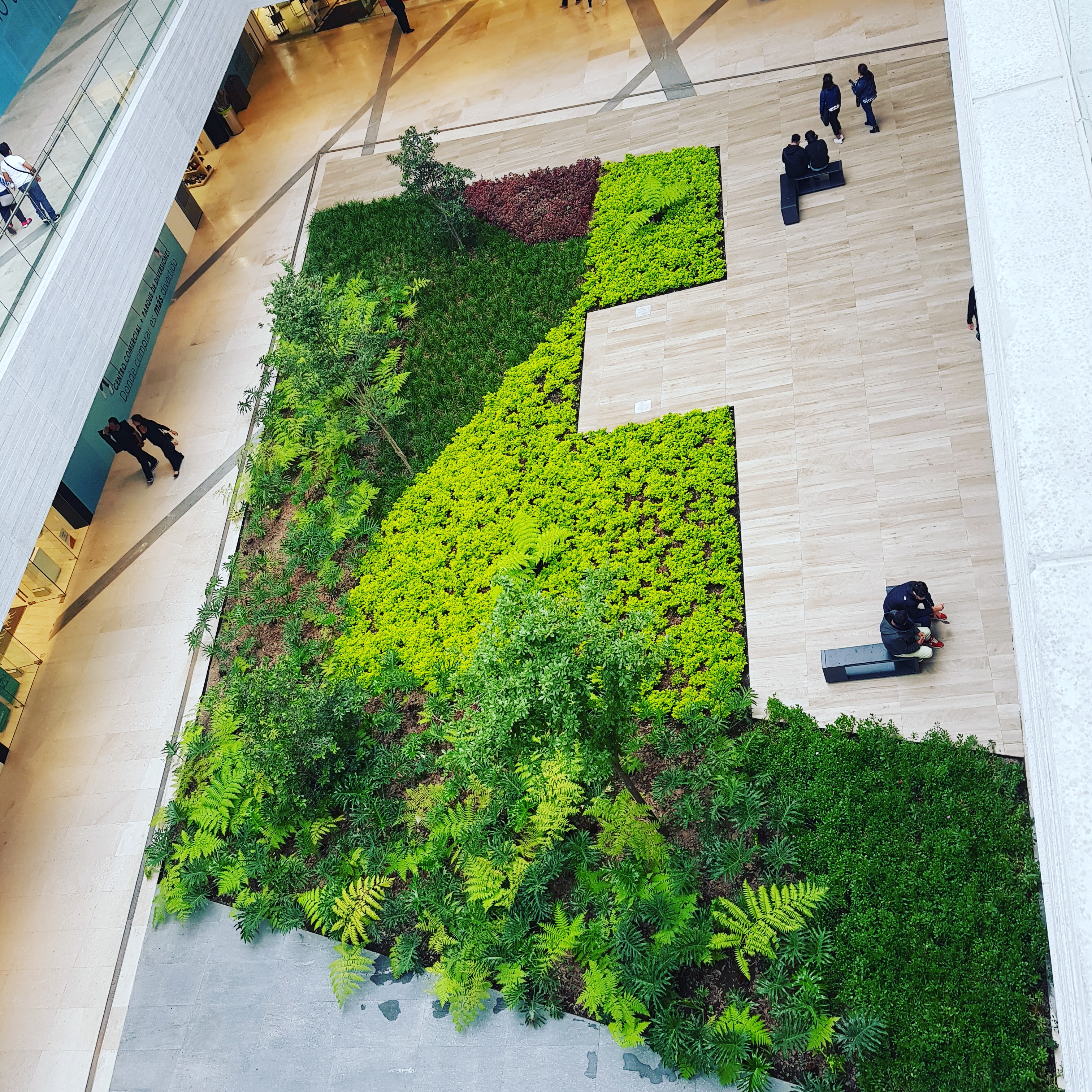 construccion de areas verdes